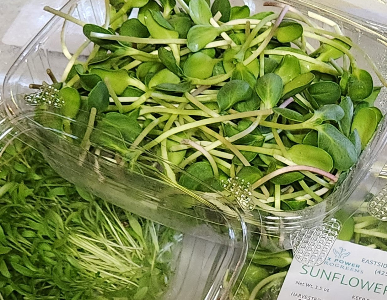 Harvest Share Pack: Fresh Microgreens